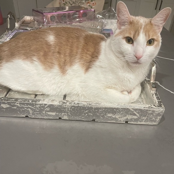 🛑Sunday am Eastern🎁SELL YOU & I ♥️ - Picture 11 of 15